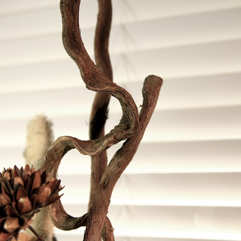 ŵ����������ٸ�