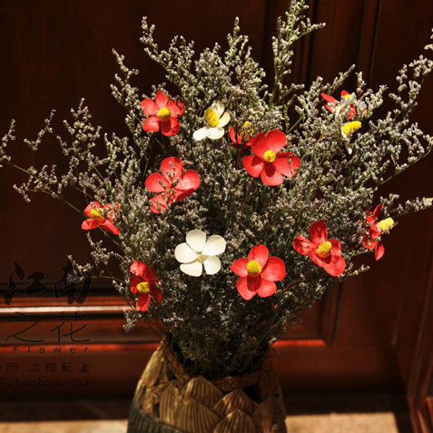 ŵ���������ϸɻ�NF-S135