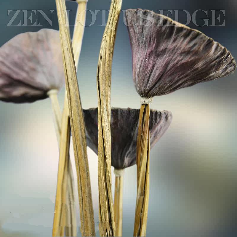 ŵ��������˸�������Ѹɻ�