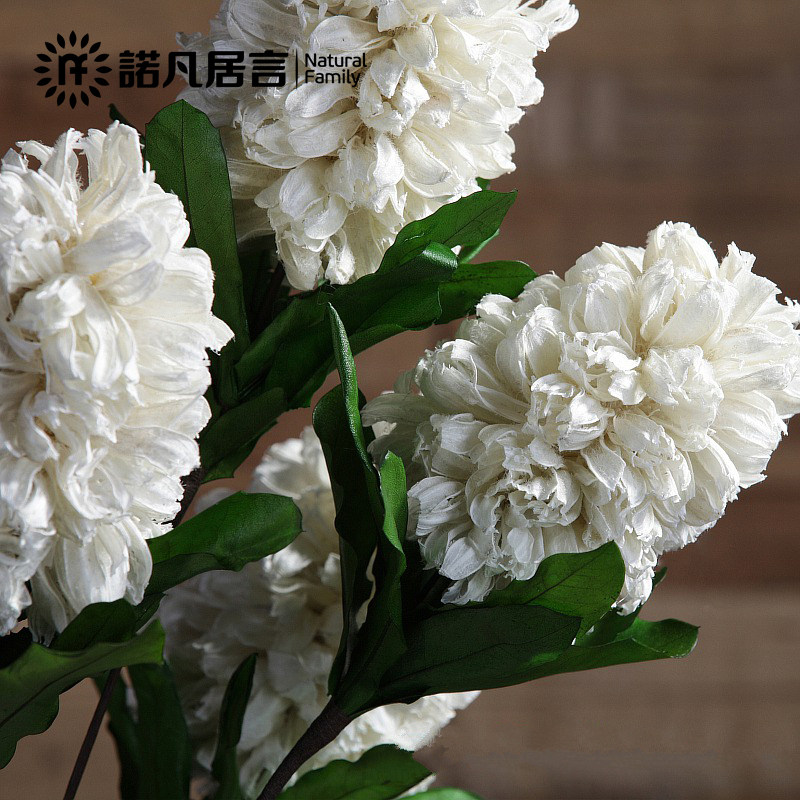 ŵ������������ڼٻ��������