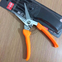 Electroplated manganese steel scissors gardening tools pruning shears fruit scissors citrus orange grape fruit picking scissors Flower Branch shears