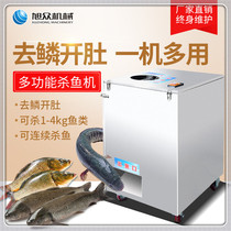 Xuzhong fish killing machine commercial automatic multifunctional open belly to fish scales to kill fish artifact automatic back fish killing machine