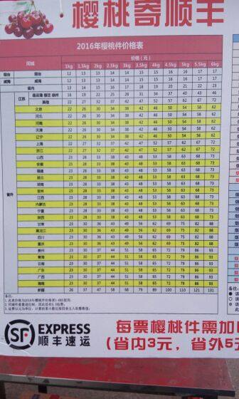 Accessoire coiffure - Ref 1205456 Image 7