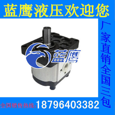 CBTt-F304 F306 F308 F310 F312 F314 F316 F320 F325F3P7 gear pump