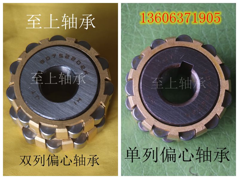 RN311EM Reducer Bearing Cylindrical Roller Bearing Tianma TMB Bearing Harbin HRB Bearing