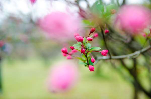 采石矶景区 谪仙诗魂依在