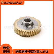 Strict selection of professional casting worm wheel turbine aluminium bronze tin bronze worm wheel worm external copper inner iron cheer