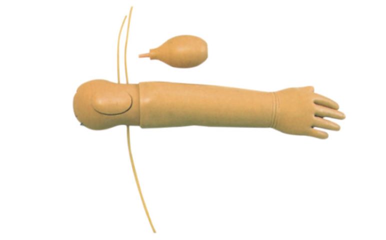幼儿静脉注射手臂训练模型 YR-S15