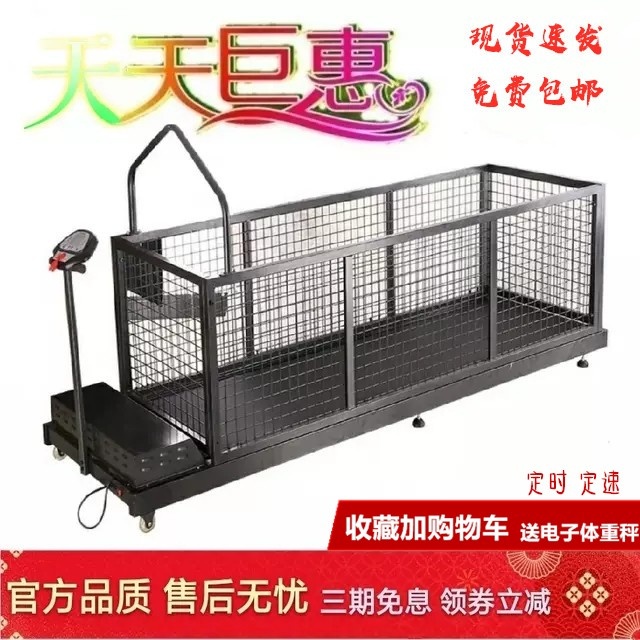 Home Pets Training Large Dogs With Dogs Treadmills Grippy Dog Dogs With Animals For Dog Exercise