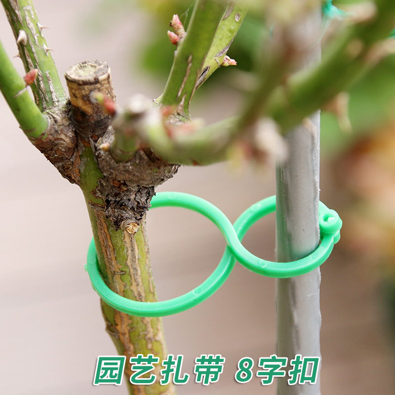 (20 bags) 8 word buckle plant stem bar fixed accessories fixed clamp PVC material rain resistance