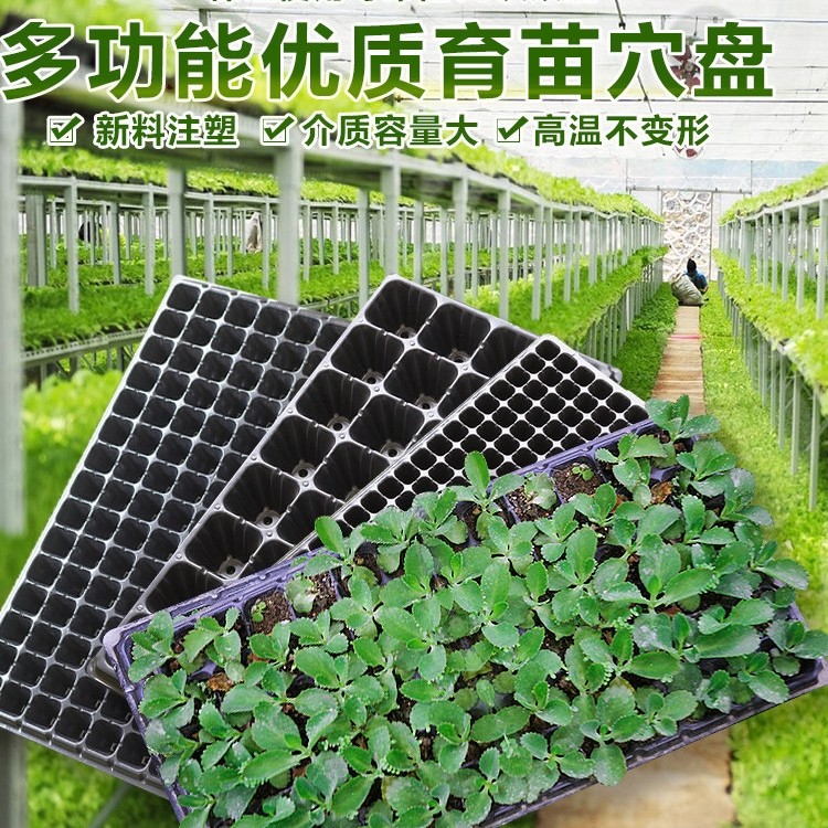 Winter adjustable air insulation and humidifier box of seedlings plug and cultivated box of insert