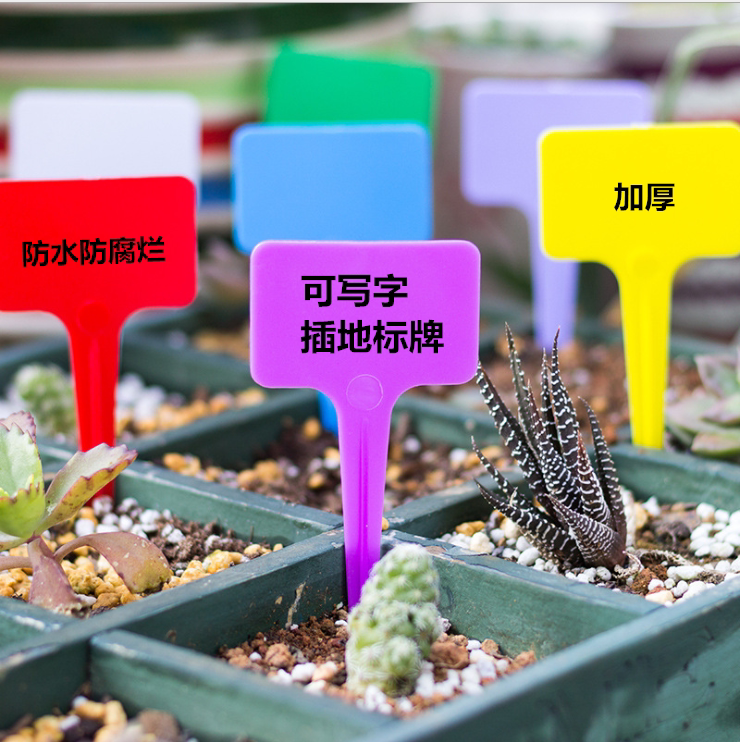 Three generations of thickened T-labels, gardening labels, flower labels, plant labels, planting and sowing, planting signs