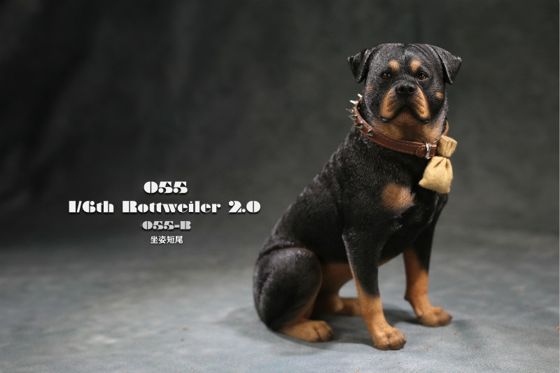 O1CN01IoIPDz1uVkFoNZTpc_!!