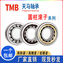 TMB Tianma Bearing N NF NUP202 203 204 205 206 207 208 209 210EM