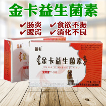 Ginka Probiotic Vegetarian Enteritis Diarrhea Vomiting Pet Lathin Conditioning Gastrointestinal Teddy Gold Hair Digestive Probiotic Powder