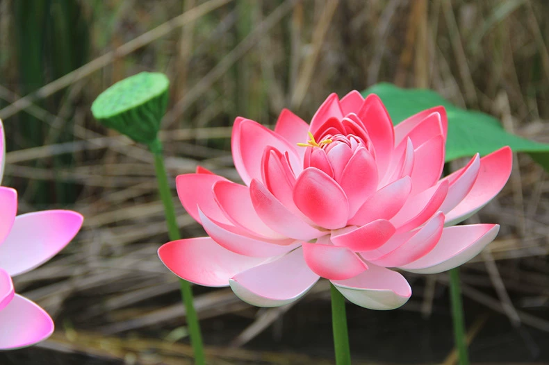 Mô phỏng Lá sen với Hoa giả Màu xanh nước Pond Pond Trang trí sân khấu Vũ điệu Biểu diễn - Hoa nhân tạo / Cây / Trái cây