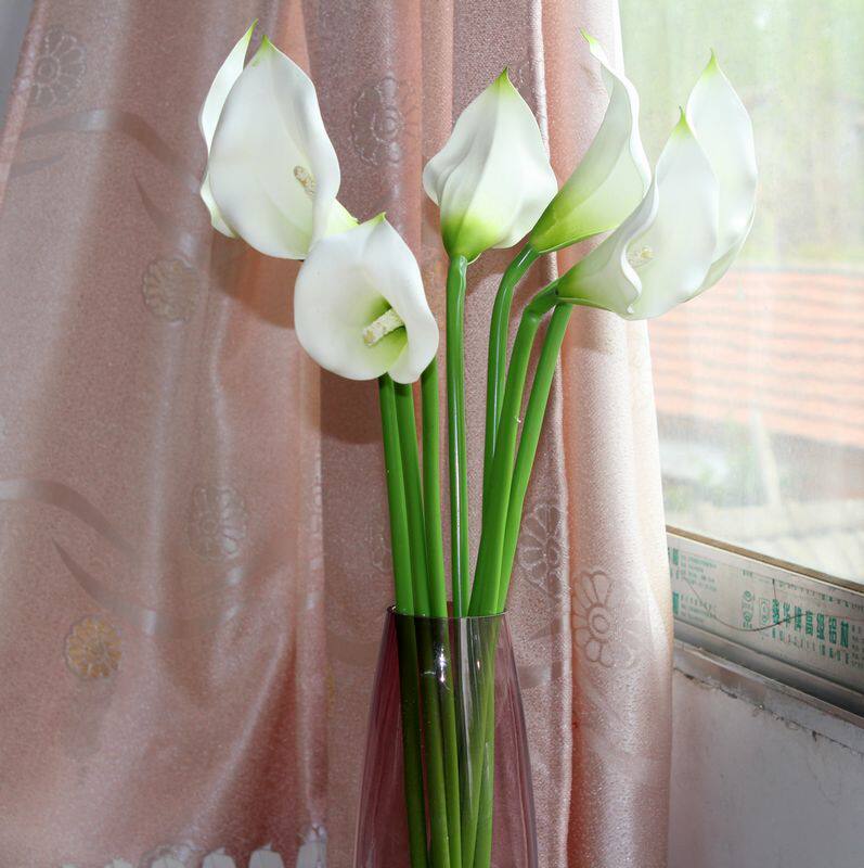 ���ϵ�֦���������滨20140408����