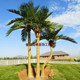 Simulated Coconut Tree, Fake Coconut Tree, Large Indoor and Outdoor Mall Decoration, Fiberglass Palm Tree, Tropical Coconut Tree Potted Plant
