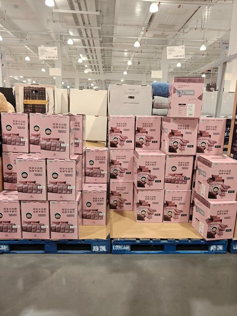 Royal Majesty White Goose down Duvet with 90% down Content, Thickened for Winter Warmth, Costco Selection