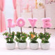 Love simulation plant small potted creative home furnishings living room desk TV cabinet mini decoration fake flower ornaments