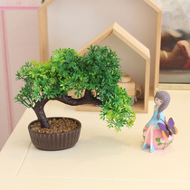 Yingjia simulation green plant potted home living room decoration creative desk TV wine cabinet display stand decoration fake flower