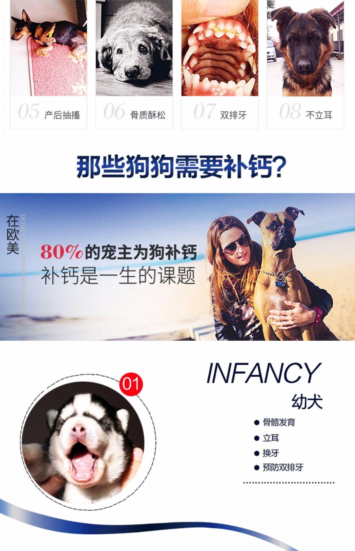 味 núm vú chó mang thai, chó, xương, canxi, gấu bông, mèo vàng, vật nuôi, canxi, 200 viên - Cat / Dog Health bổ sung sữa dành cho mèo con