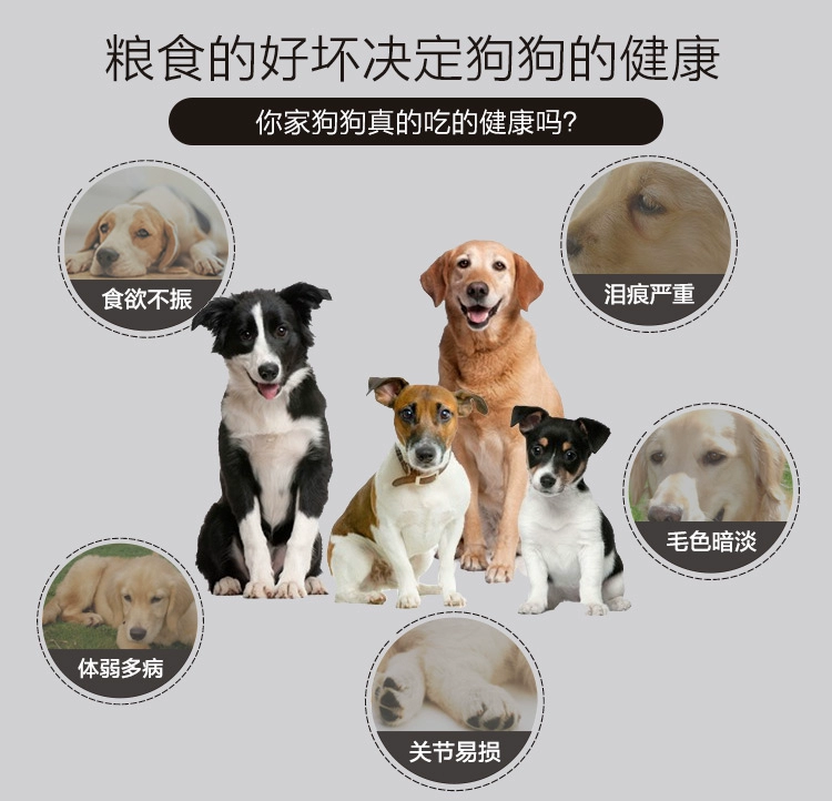 Thức ăn cho chó Yourui Husky Satsuma Jinmao Teddy VIP Shiba Inu kích thước chung thức ăn cho chó trưởng thành 20 kg 10kg - Chó Staples royal canin cho chó