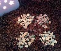 [Tongtong] Германия Bunny Love Mogo Glycogonless Cake Dandelion/Fennel/Beats/Worm/10 F Capper