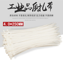 Kavwell 4 0mm * 250mm straps strapping with plastic self-locking nylon tie 200 root OT1014G