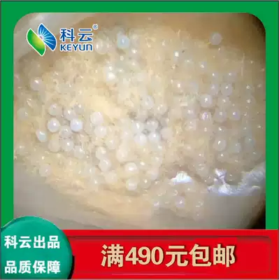 Lepidoptera living insects for the teaching of Spodoptera litura live insects