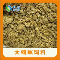 (Koyun) Large Wax Borer Artificial Feed Insect Rearing Grape Nectar