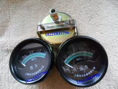 Shanghai Oriental Instrument Co., Ltd. YT-102 pressure gauge oil pressure gauge YT102 oil pressure gauge