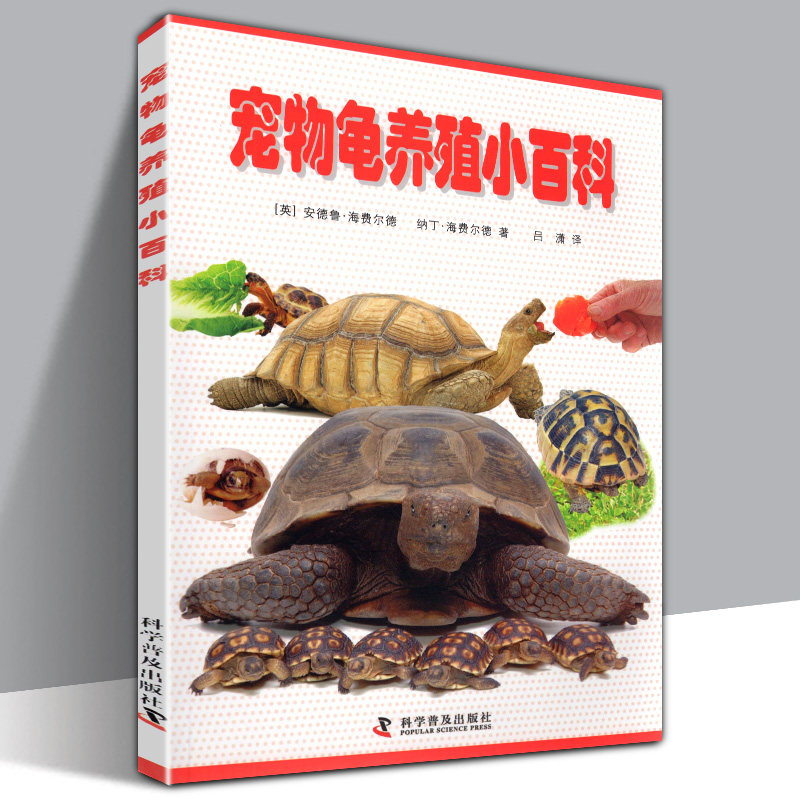 Feeding methods of pet turtles turtles pet breeding common problems of health tortoise disease diagnosis and treatment popular science