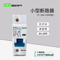 DC circuit breaker DZ47-125 1P C80A-125A Air switch 6kA DC12-100V switch