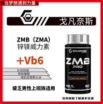 Galvanize ZMB Gofanax ZMA Zinc Magnesium Powerin Muscle Enhancement Testosterone Restore Sleep 60 Capsules