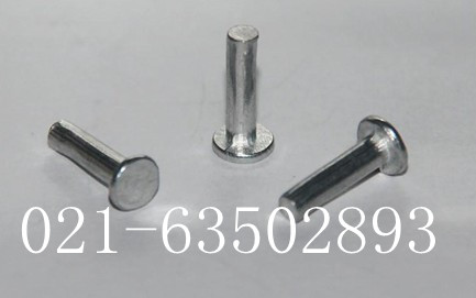Head-head rivet flat head aluminium rivet GB109 (M5 M 6) RMB60  RMB60  1 kg 1 kg complete with all the specifications.