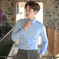 Яркий пуговица