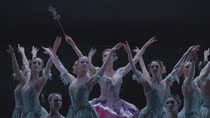 Ballet Dancing Sleeping Beauty 2DVD HD 1080P Ying Real Ballet