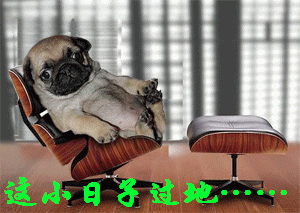 The foam box (delivered a bigot) one box to shoot one