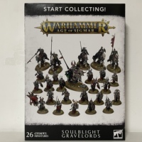Battleham AOS novice bag Start Collection Soulblight Gravelords
