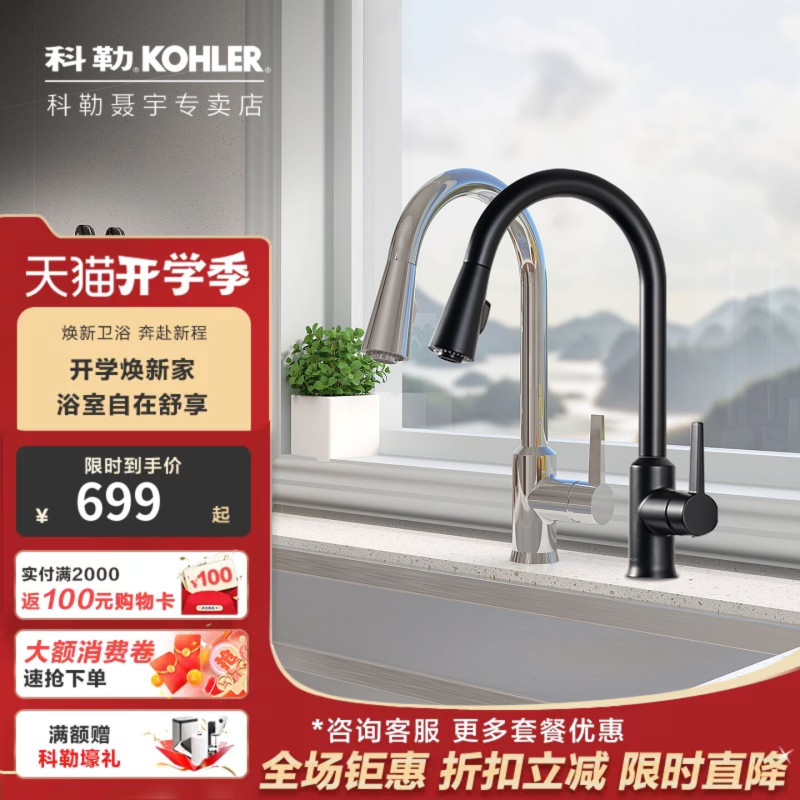 Kohler Kitchen Faucet Sink Pull-Out Faucet Black Dishwashing Sink Hot and Cold 21366