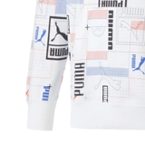 Puma, весенняя толстовка с капюшоном, трикотажный лонгслив, спортивный костюм