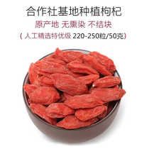 Red wolfberry 2020 new head stubble Qinghai premium big fruit 1 catty pure natural leave-in wolfberry 500g non-Ningxia