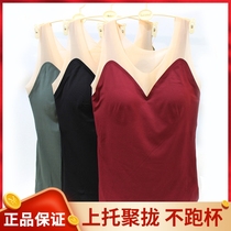 Girlfriend for a lifetime of women in autumn and winter argan moisturizes skin without trace thin warm vest bra one-piece top