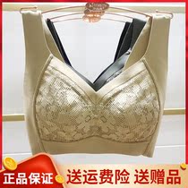 Fragrant moon Ming Mei thin Vest Style Underwear 61805 latex No steel ring Anti-sagging upper to gather without scar bra