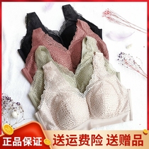 The new 20216 full cups thin-style large-breasted-breasted small underwear without steel ring to gather the bra in the new 20216 full cups.