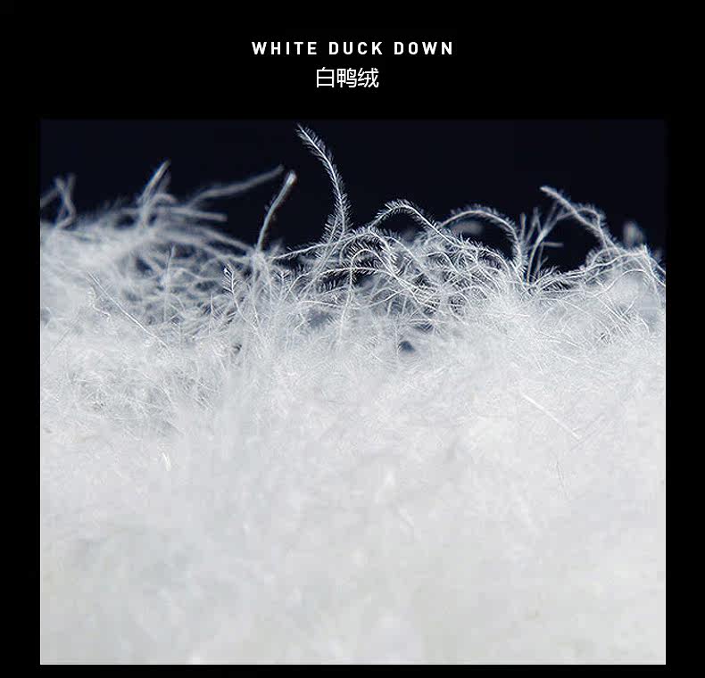 Blouson homme PLAYBOY     en Polyester - Ref 3119912 Image 11