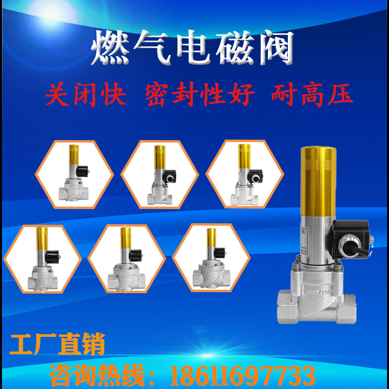 Industrial and commercial combustible gas emergency cut-off valve threaded linkage industrial alarm often open explosion protection 24V