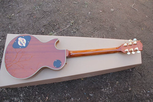 Flyoung Custom LP Электрика