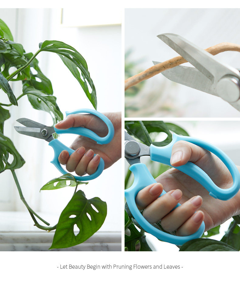 790 Scissors_06.jpg